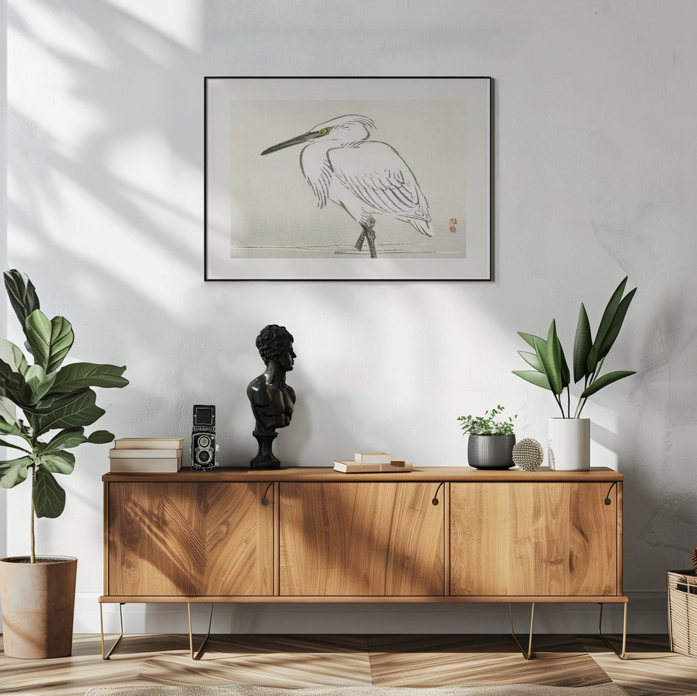 Silberreiher | Poster
