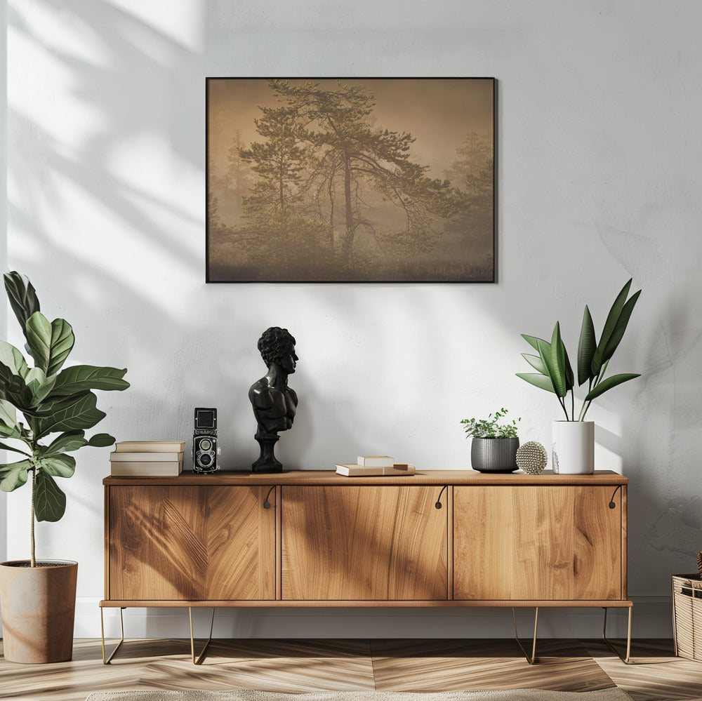 20220809 Dsf8003 1 | Poster