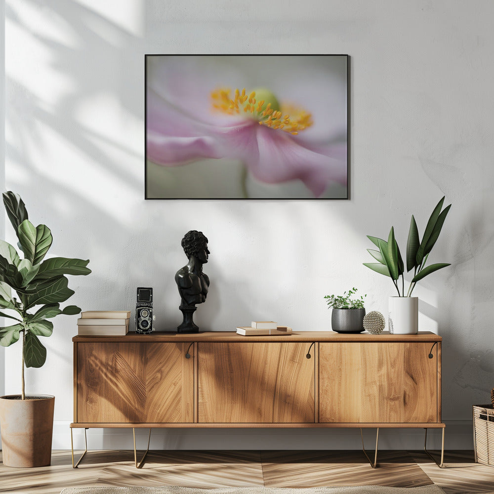 Dreaminess | Poster