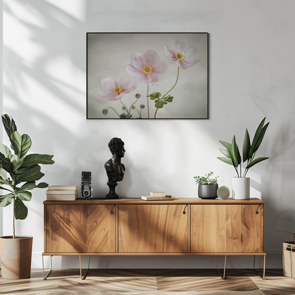 Anemones | Poster