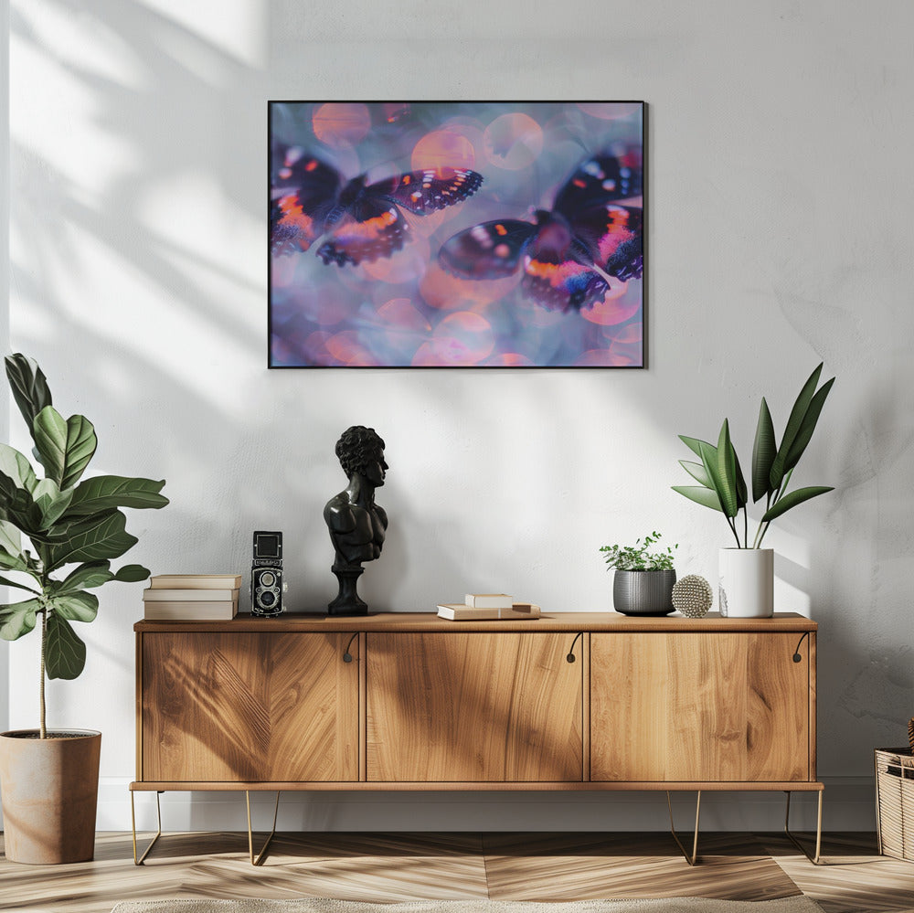 Schmetterlingsträume | Poster