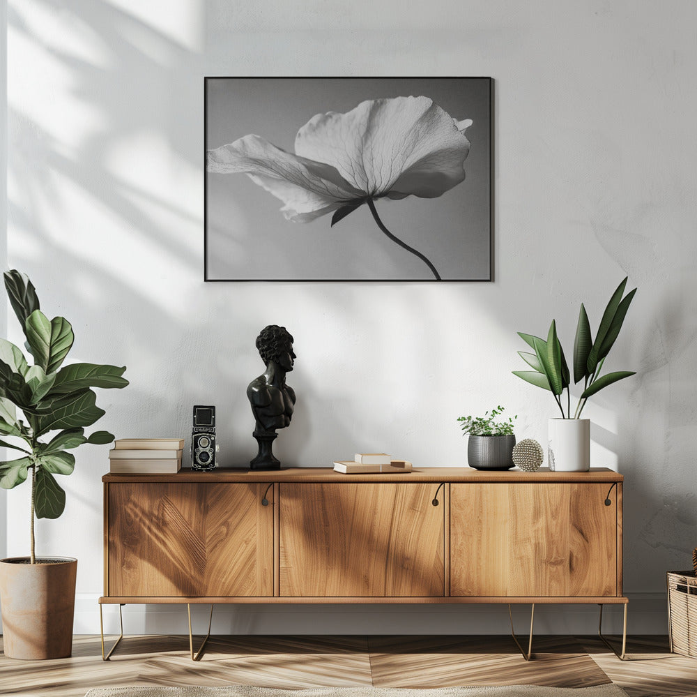 Delicate Petal Dance | Poster