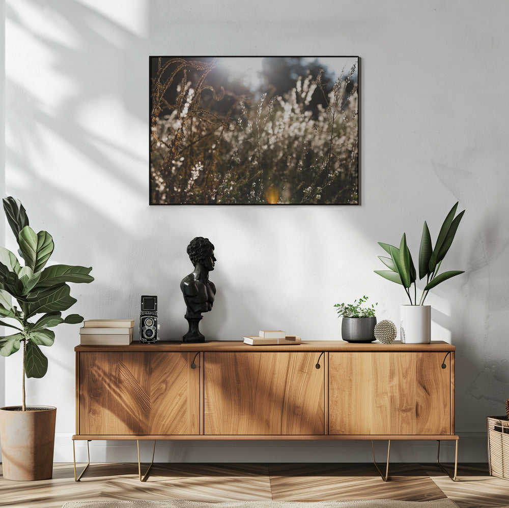 Warmes Winterlicht 7 | Poster