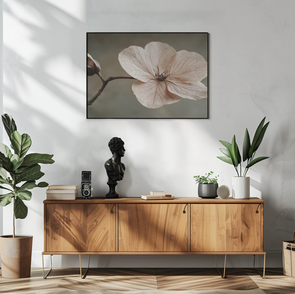 Zarte Blüte | Poster