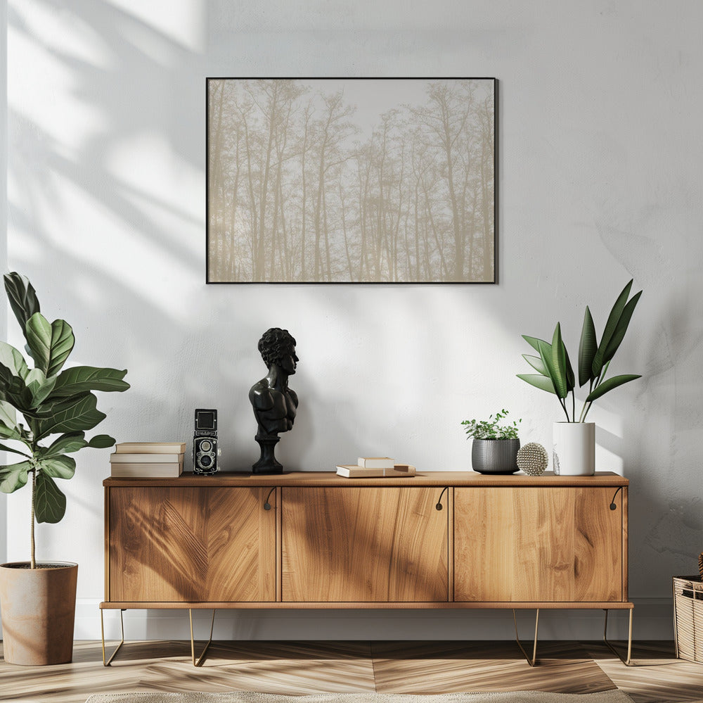 Baumsilhouetten 1 | Poster