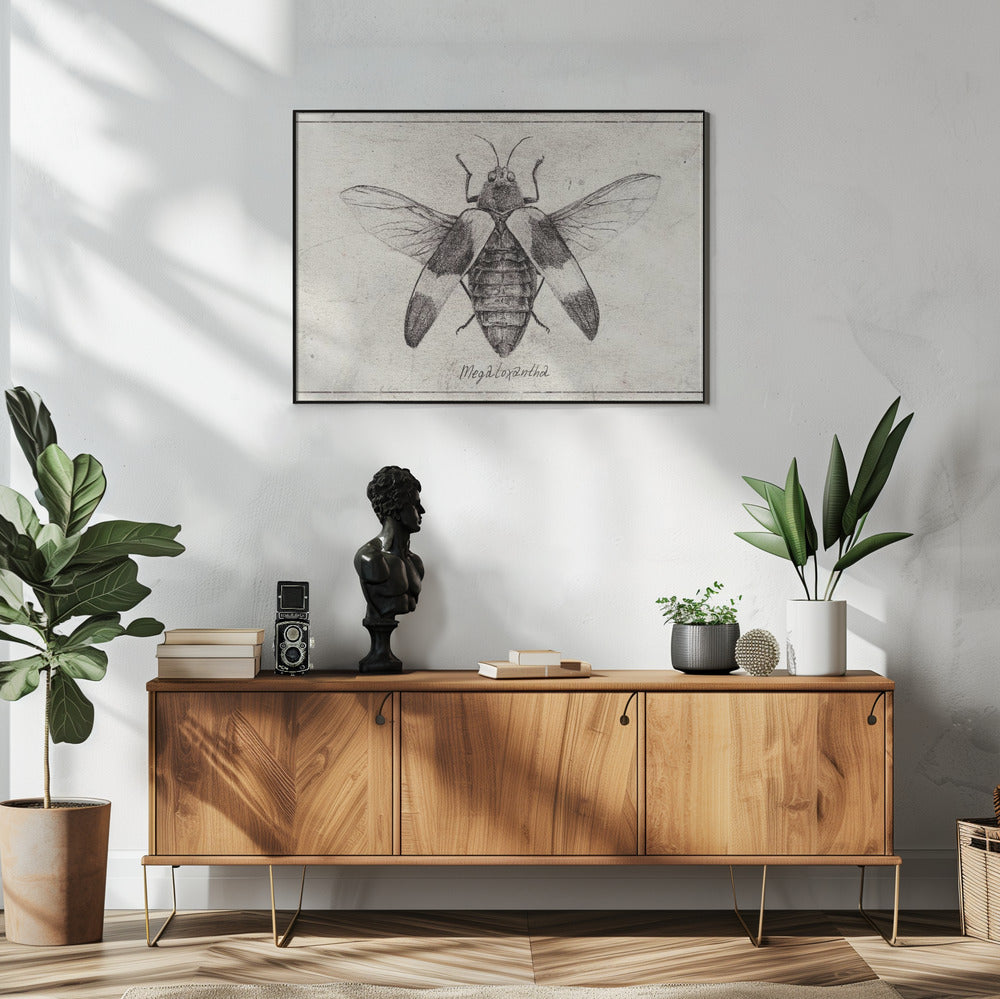 Komplexe Insektenskizze | Poster