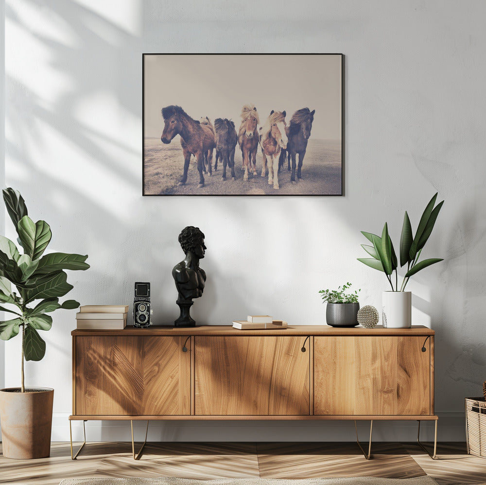 Horses | Poster