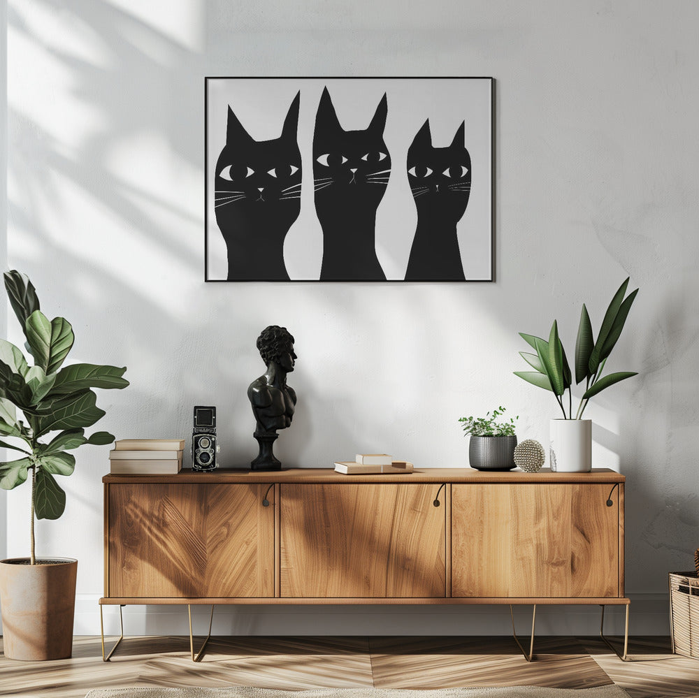 Drei schwarze Katzen spähen Katze | Poster