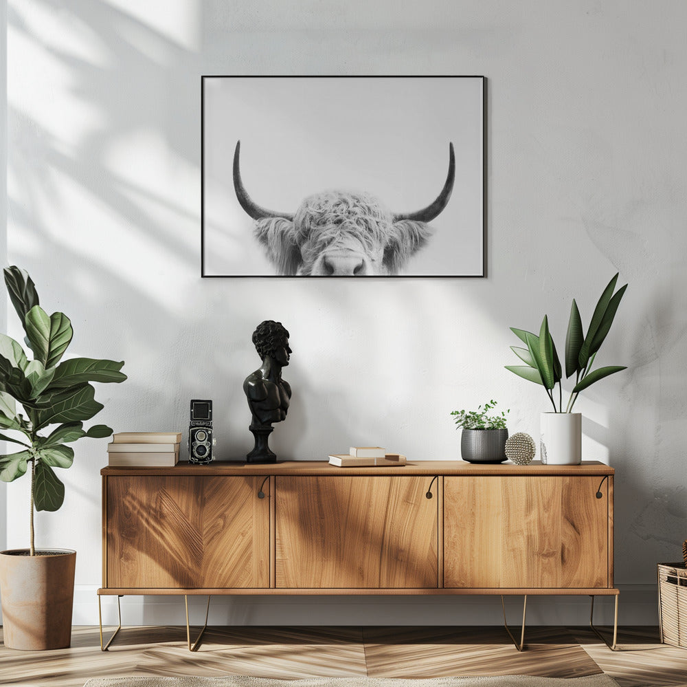 Spähende Kuh BW | Poster