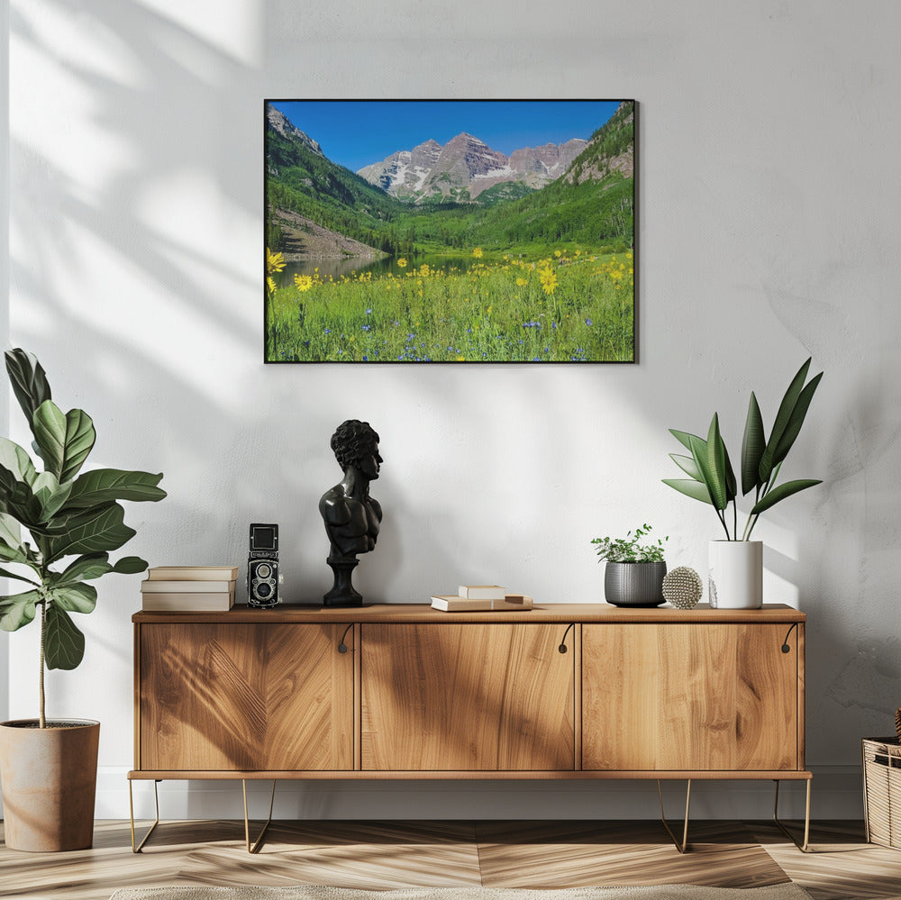 Maroon Bells Wildblumen | Poster