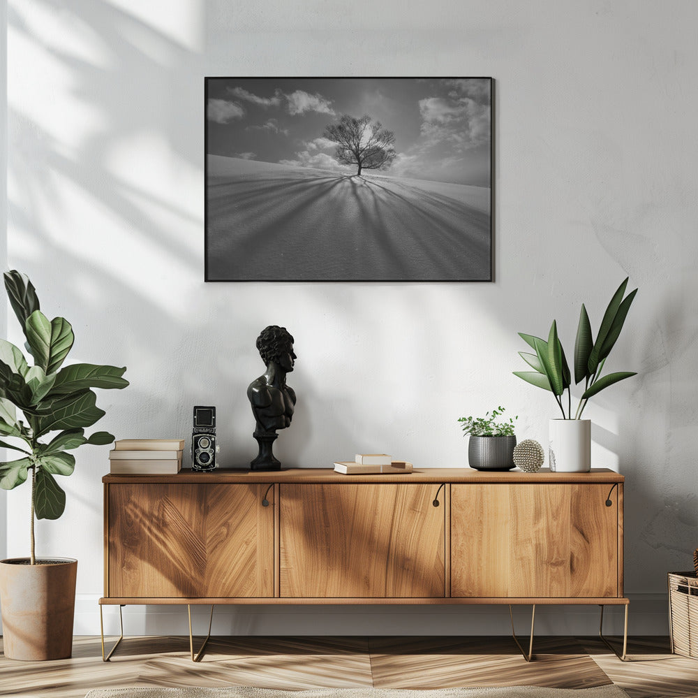 Baumschatten | Poster