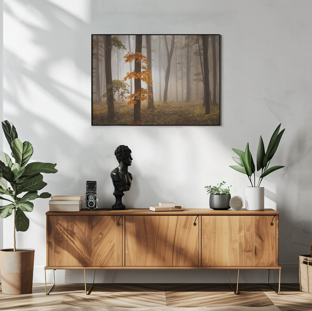 Im Novemberlicht | Poster