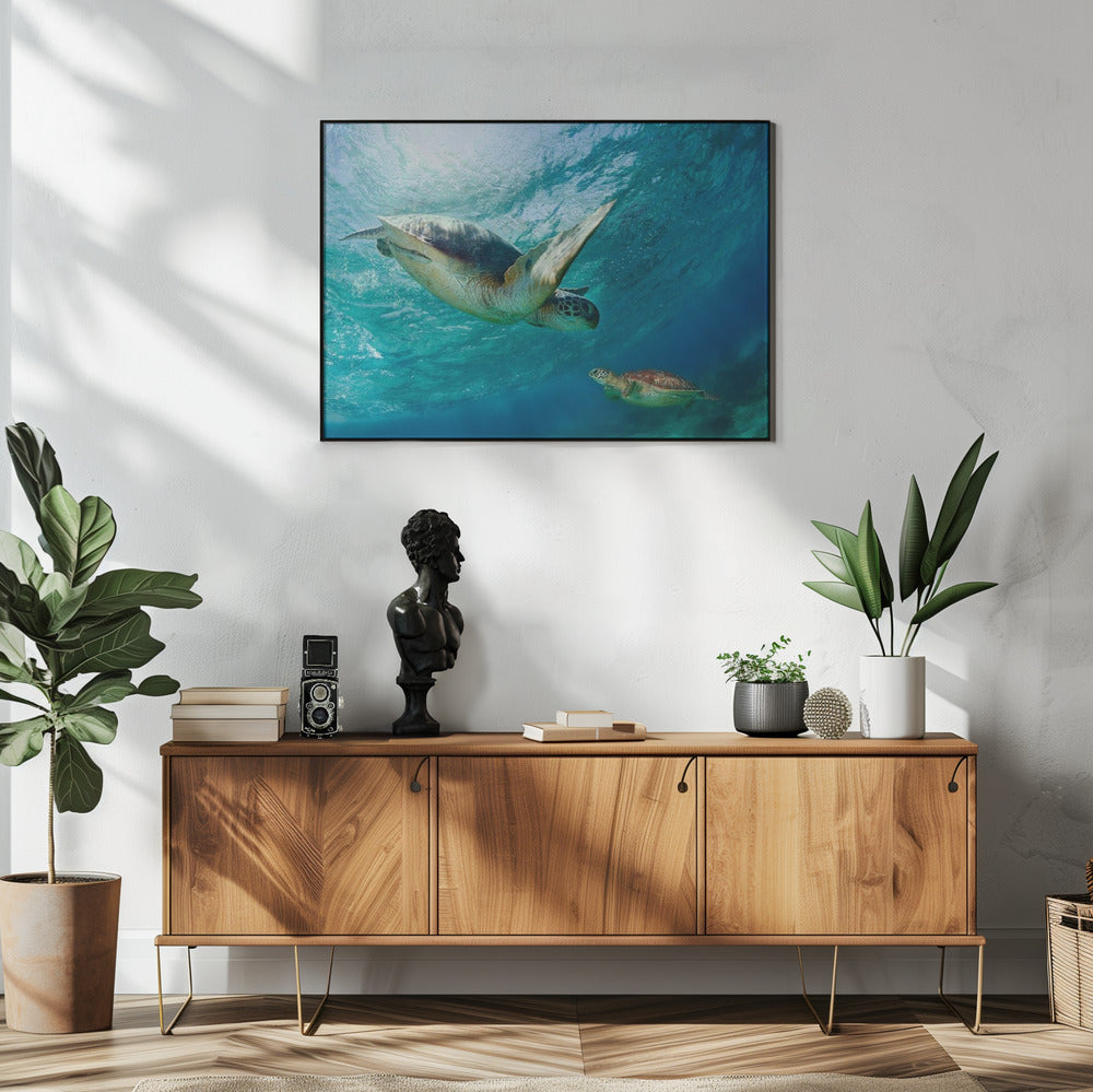 Kontakt | Poster