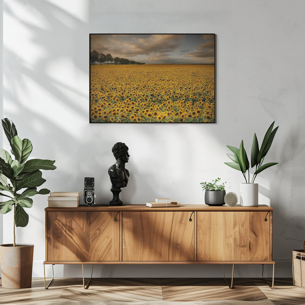 Sunflowers | Poster