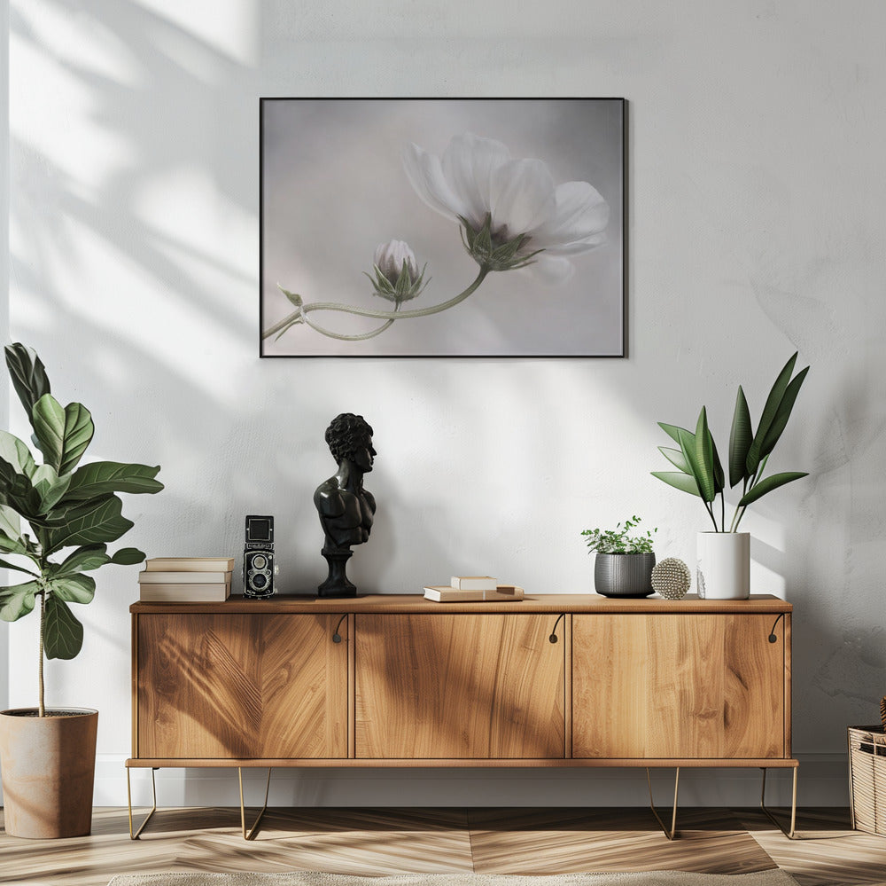 Simply Cosmos | Poster