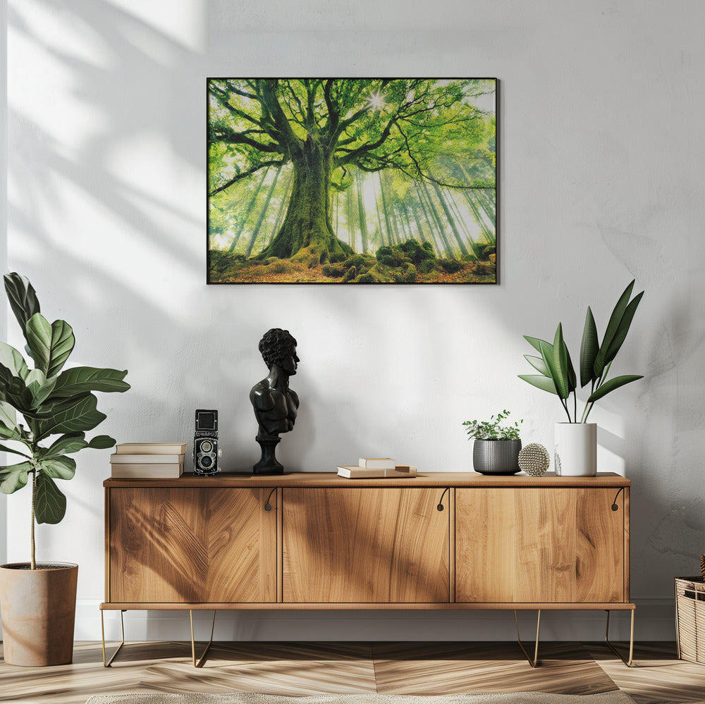 Ponthus' Buche | Poster