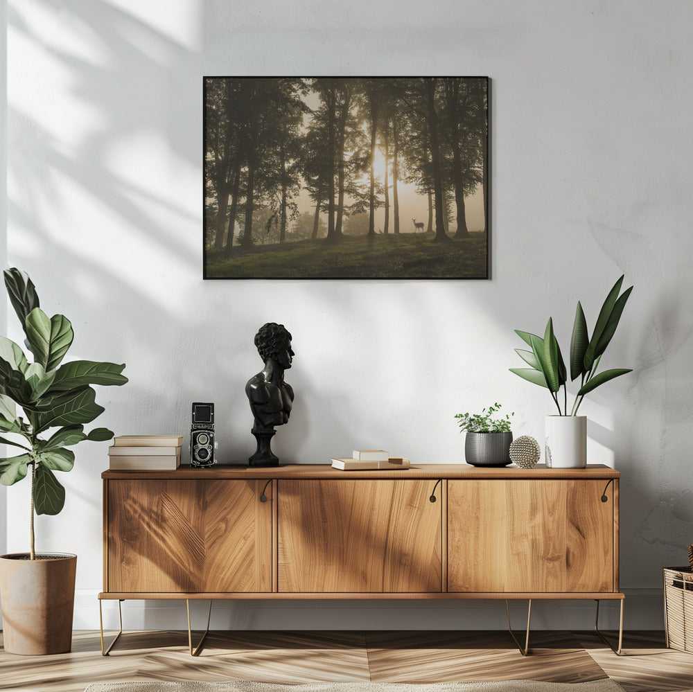 Deer in the morning mist. | Poster