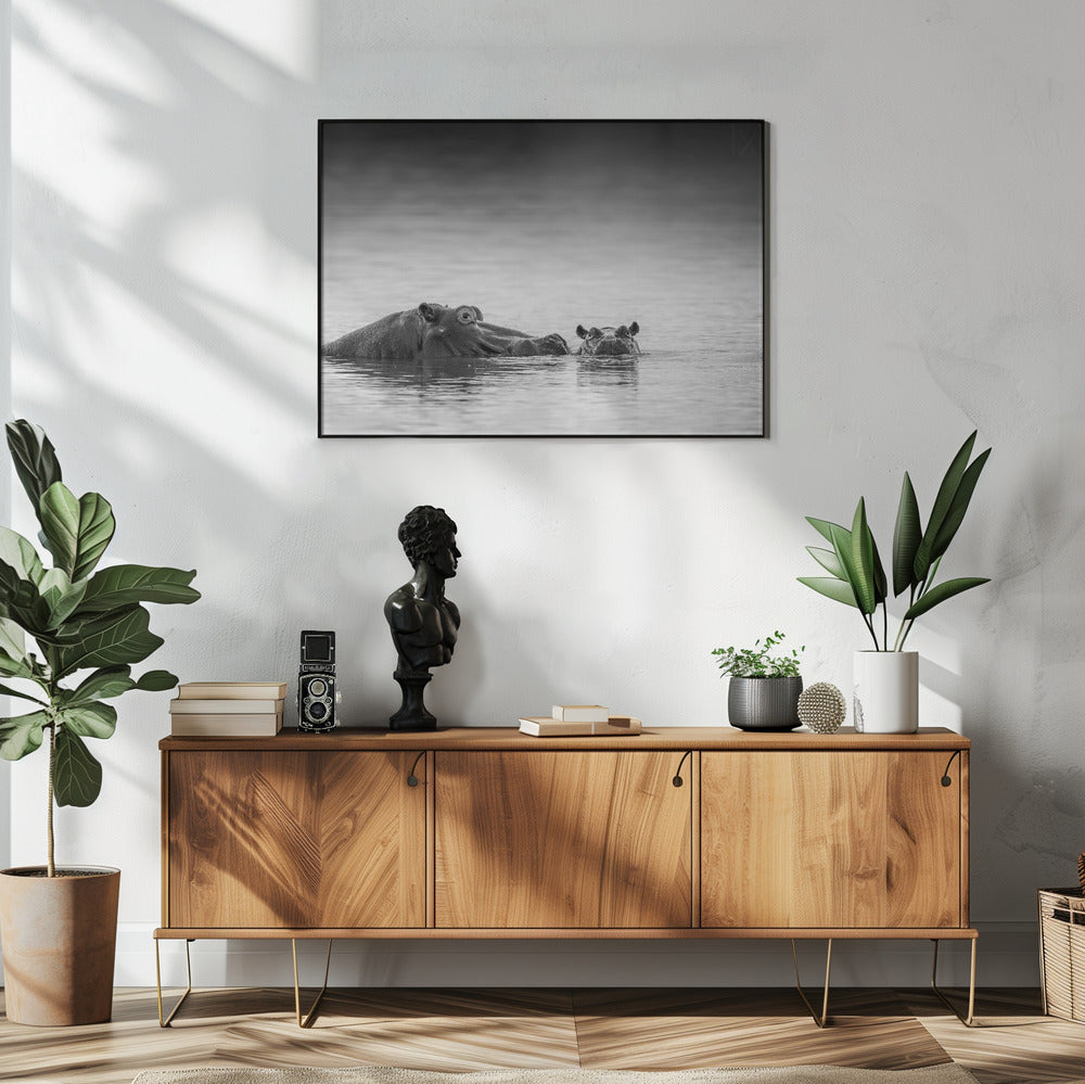 Augenhöhe | Poster