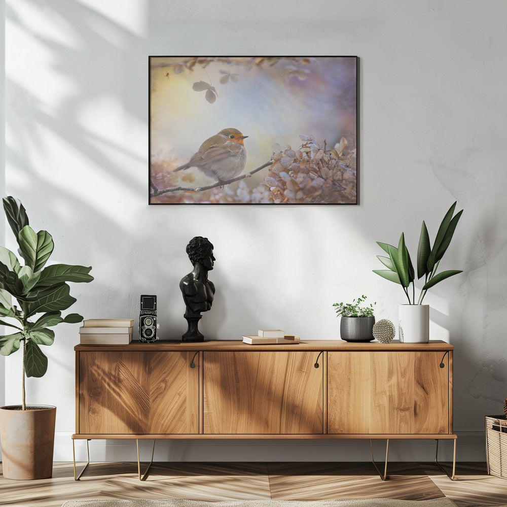 Robin über Träume | Poster