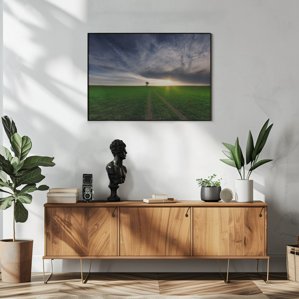 Einzelgänger in der Sonne | Poster