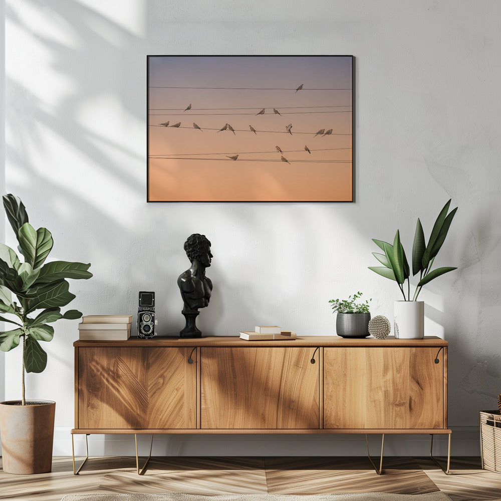 Musik des Lichts | Poster