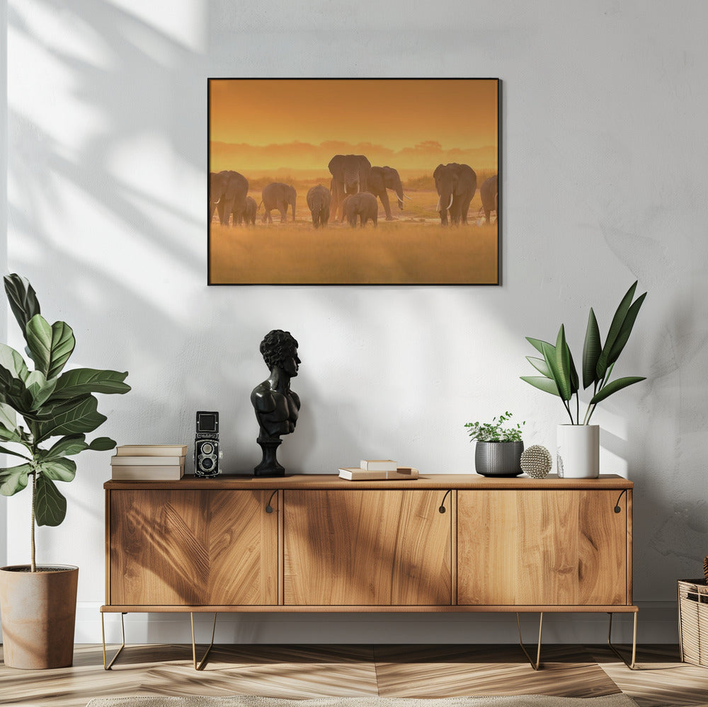 Goldenes Licht | Poster
