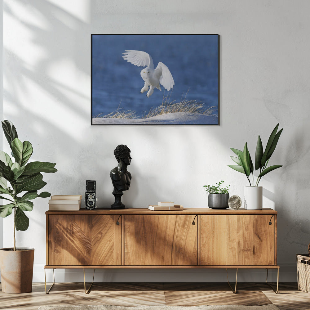 Weißer Geist Dämon | Poster