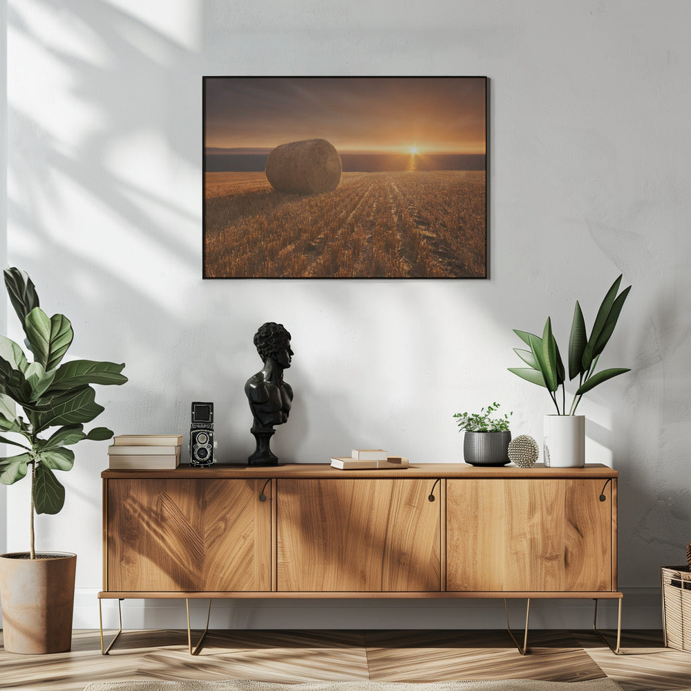 Goldernte | Poster