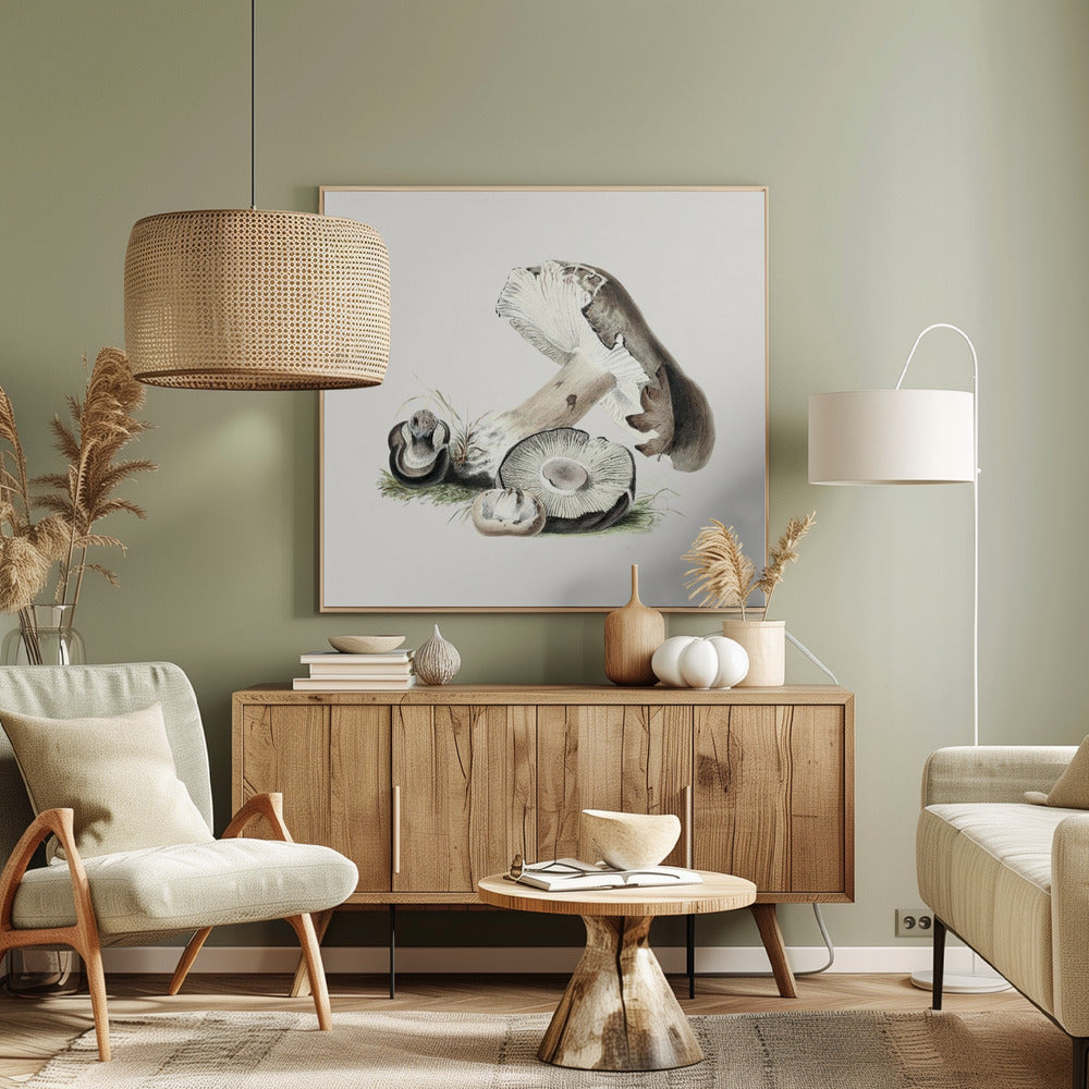 Vintage Agaricus Augustus Pilz | Leinwand
