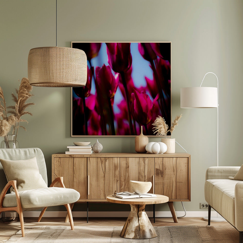 Lila Tulpen | Leinwand