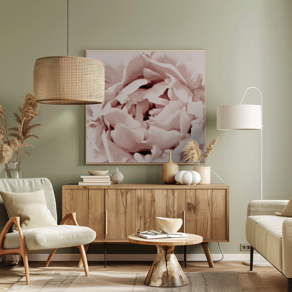 Zarte Pfingstrosenblüte | Leinwand