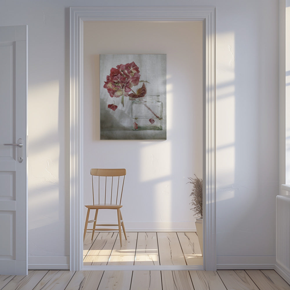 Hortensie | Leinwand