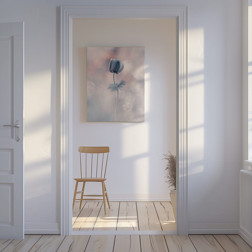 Soliste | Leinwand