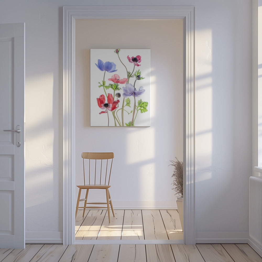 Anemone De Caen | Leinwand