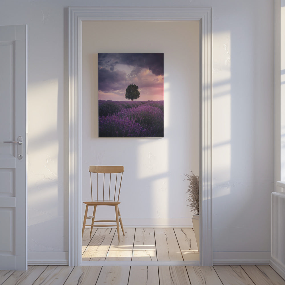 Lavendelfelder, Isparta | Leinwand