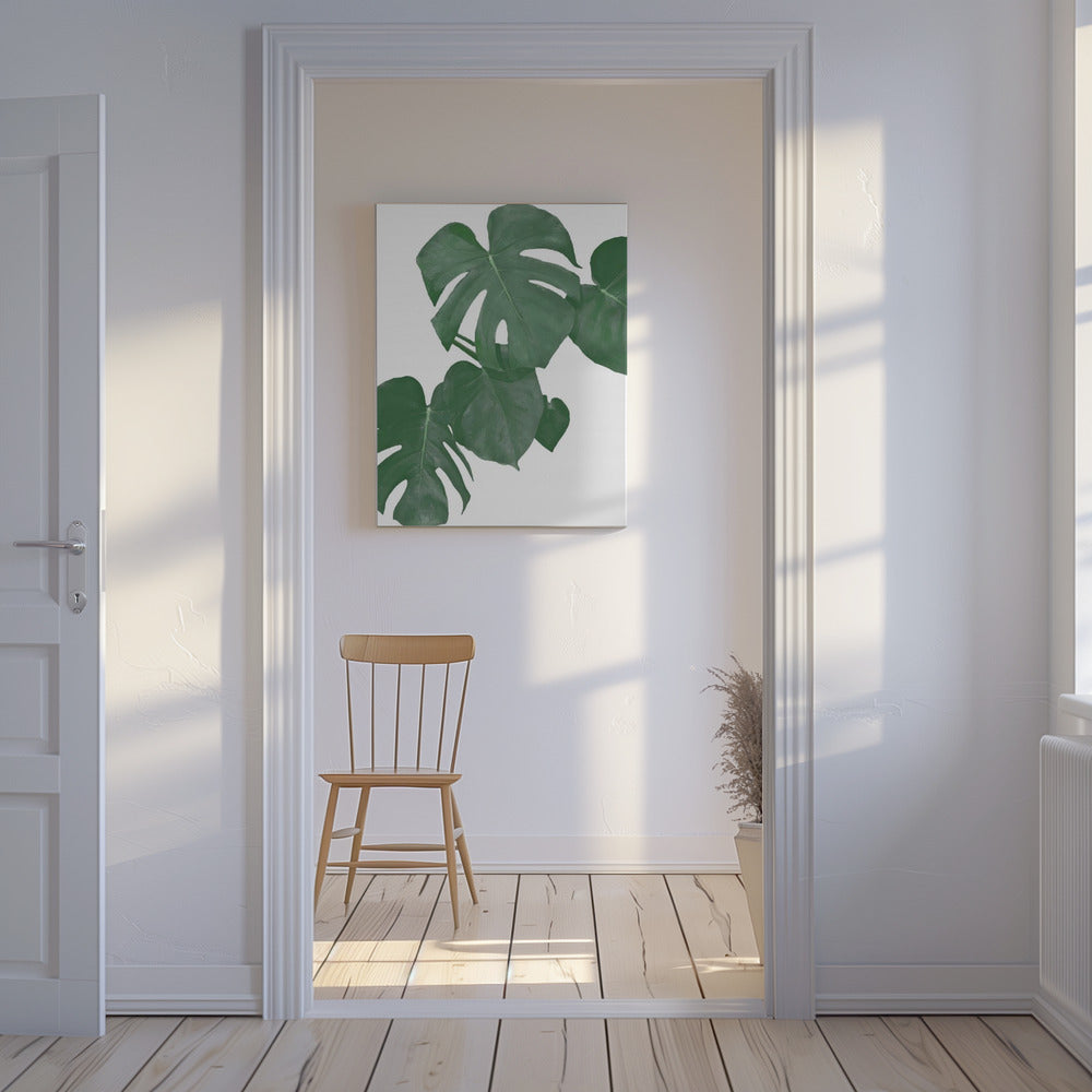 Monstera Aqua 01 | Leinwand