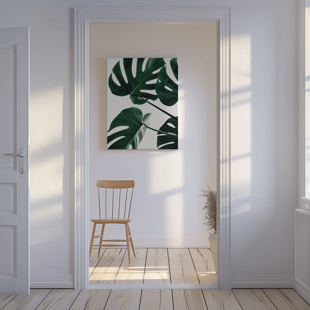 Monstera Natur 43 | Leinwand
