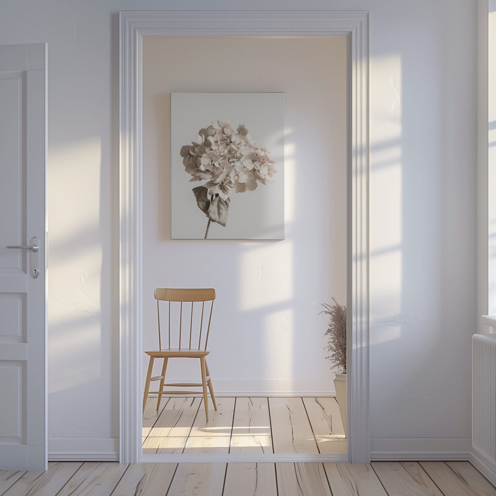 Beige getrocknete Blume | Leinwand