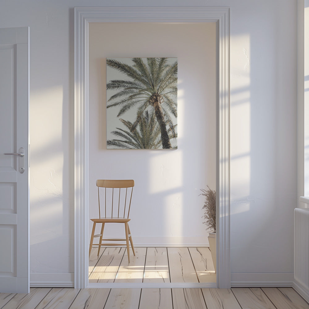 Palm_005 | Canvas