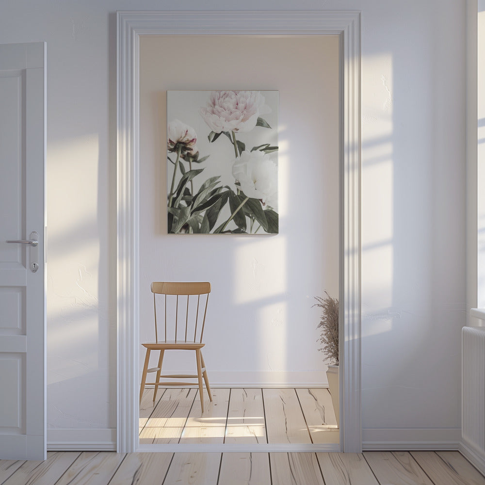 Peony 04 | Canvas