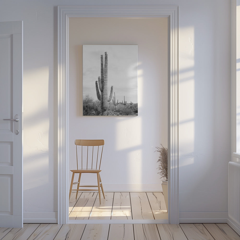 Saguaro S/W | Leinwand