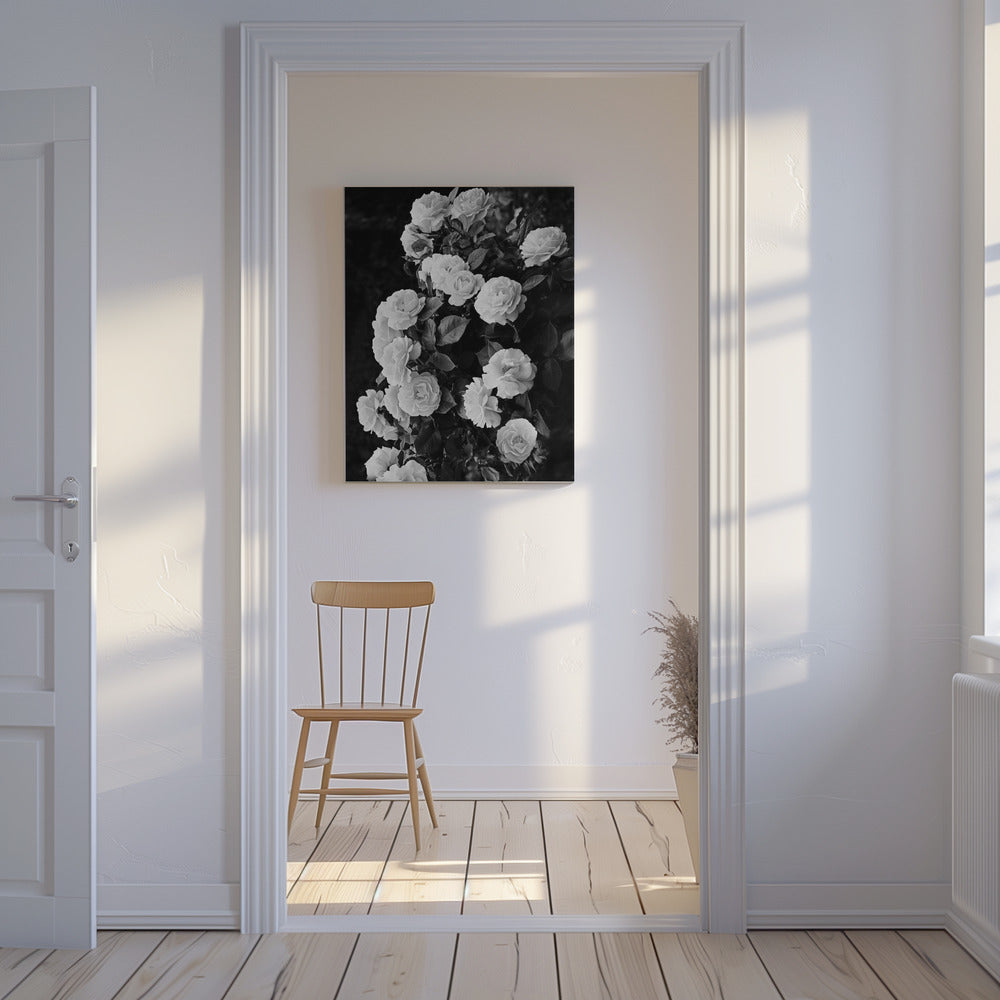 Rose Bush | Canvas