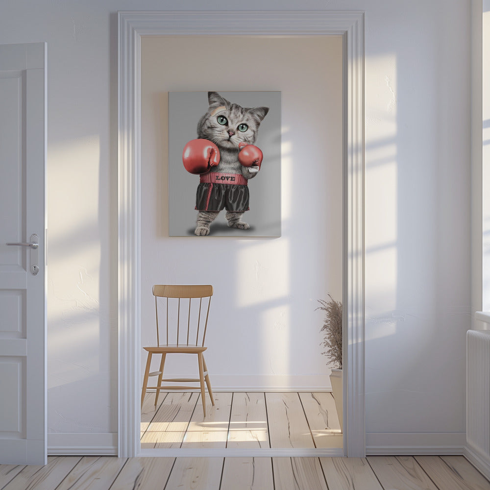 boxende Katze | Leinwand