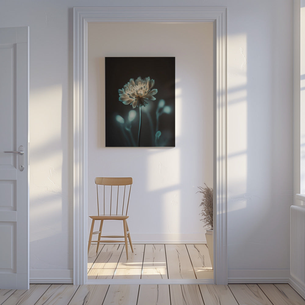 „Leuchtende Blüte“ | Leinwand
