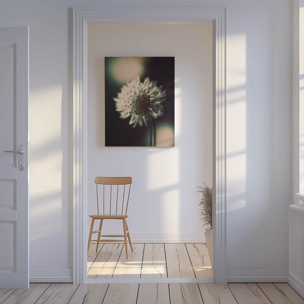 Ätherische Blüte | Leinwand