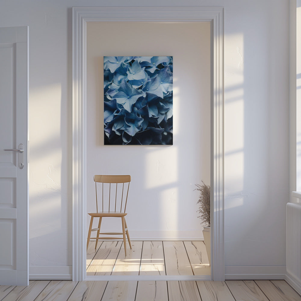 Hübscher Anblick Blaue Hortensie | Leinwand