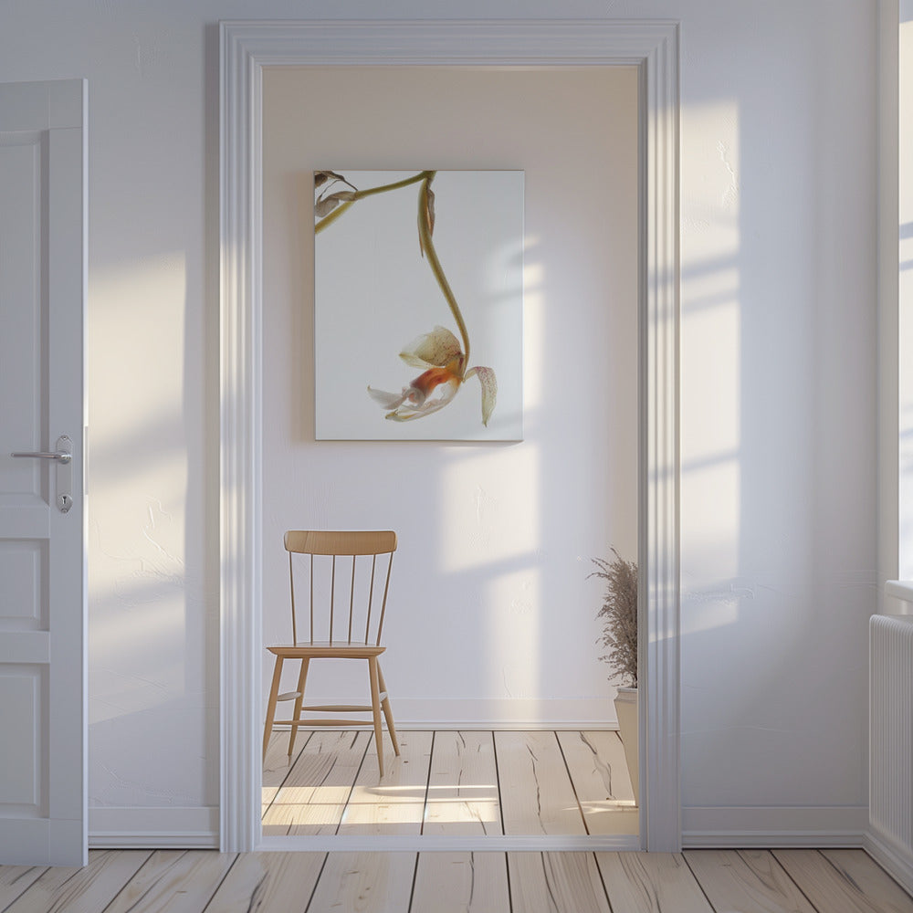 Elegant Decay | Canvas