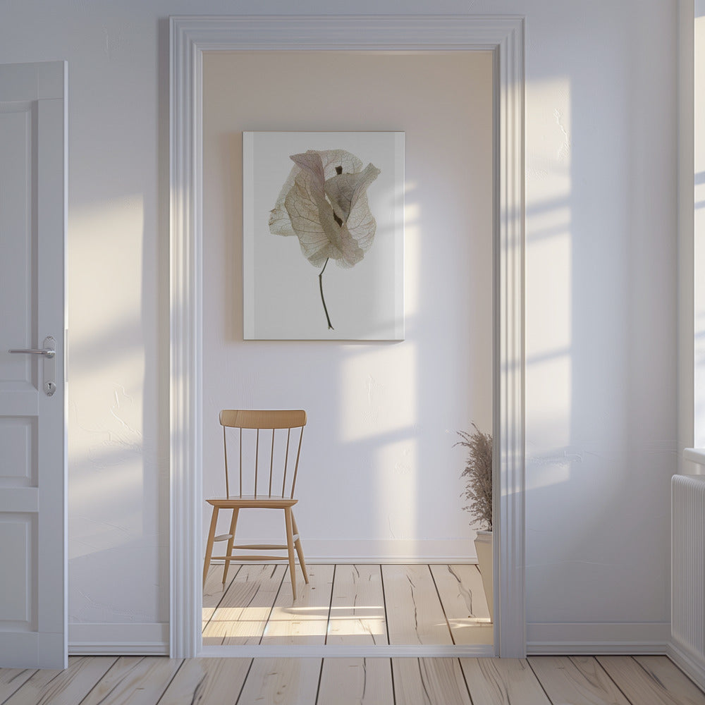 Petal Whisper | Canvas