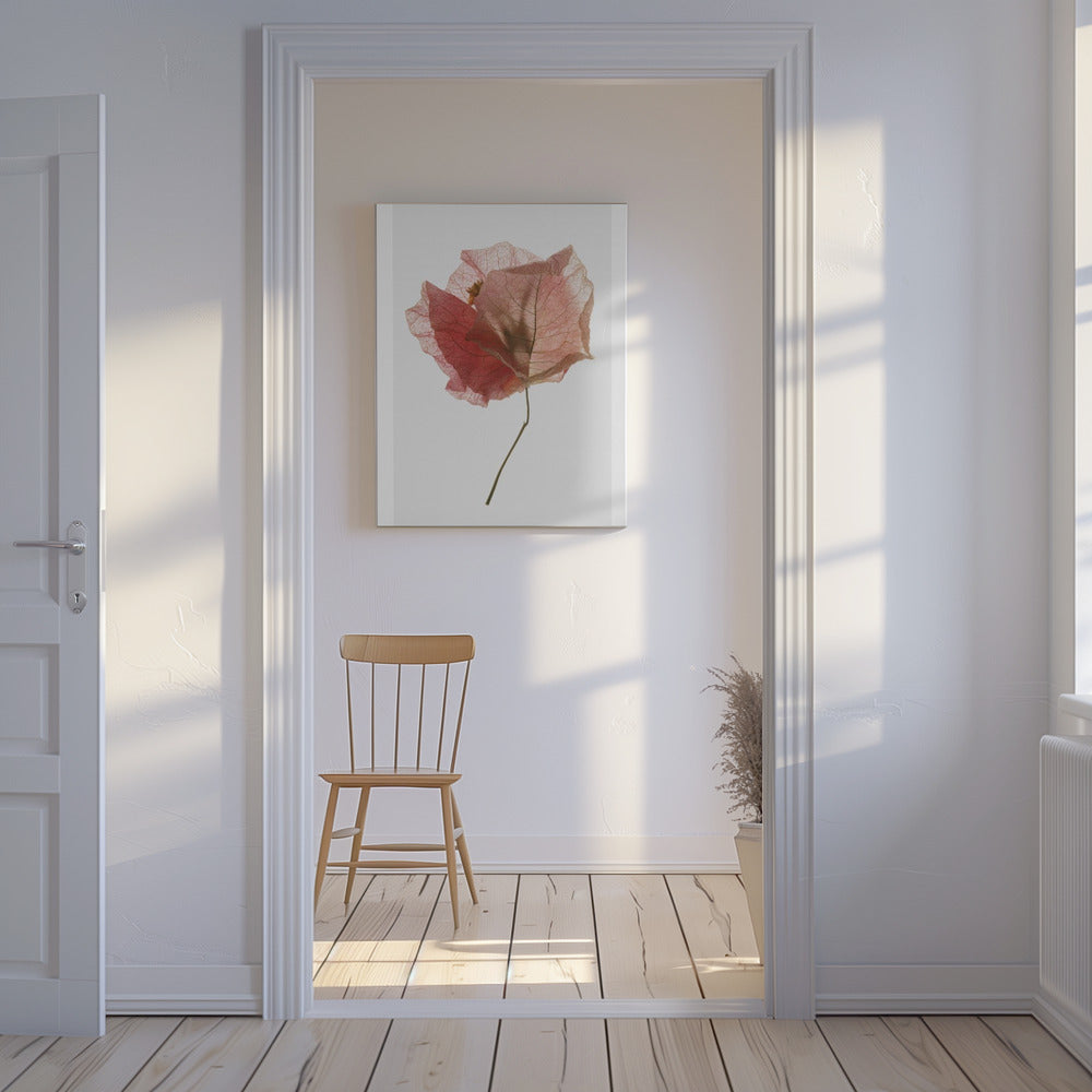 Petal Whisper | Canvas