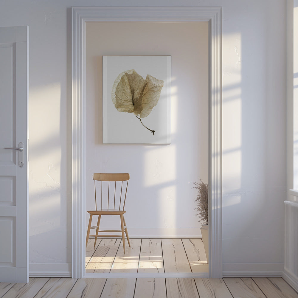 Delicate Leaf Veins | Canvas